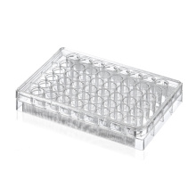 Non-treated 48 well Cell Culture Plates