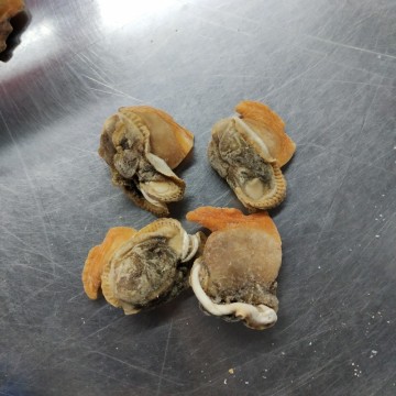 Ark Shell Blood Clam Plump Clam Meat