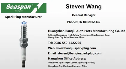 China Autolite Brisk Engine Spark Plug 03C 905 601B for Car