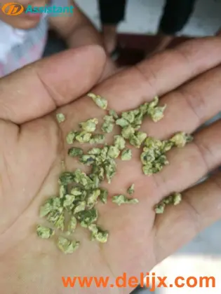 DL-6CCXJ-6080 Tieguanyin Oolong Tea Shaping Machine