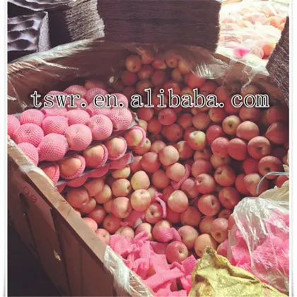 apple fruit fresh cheap apple fruit sweety apple fruit