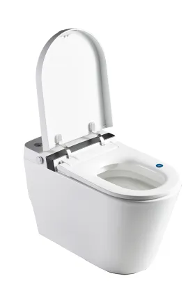 Electronic Smart Toilet With Heated Toilet Seat