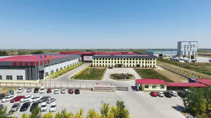 Outdoor Gymnastics Bar for Home Use