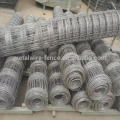 Hot dipped galvanized hinge joint knot field fence