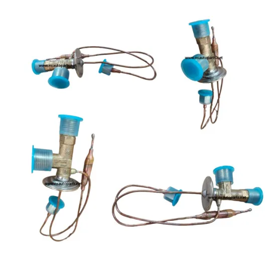Eco-Friendly Auto Bus Air Conditioning System: Car Cooling Parts - Electronic Expansion Valve