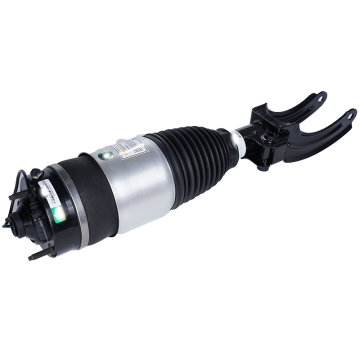 Front Left Right Air Spring Suspension Parts for Porsche, Jaguar, BMW, Audi