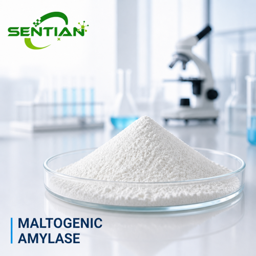 Maltogenic Amylase Enzyme for Baking Freshness