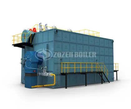 25 tph SZL series chain grate bio steam boiler for bioenergy corporation