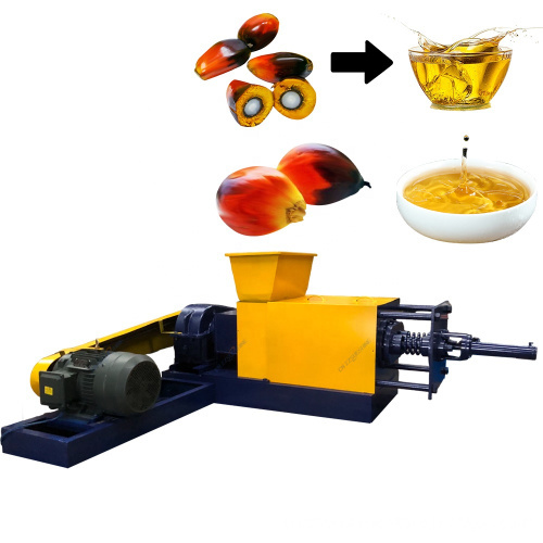 Small Scale Palm Oil Extraction Machine | Cold Screw Press for Palm Fruit Kernel Oil Processing