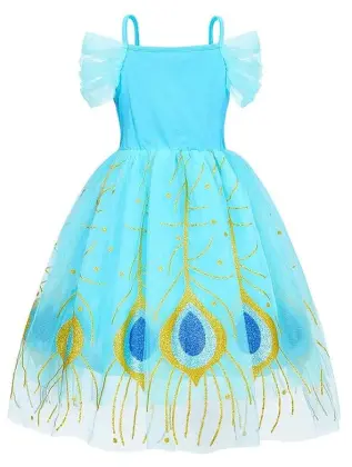 Aladdin Princess Fancy Dress
