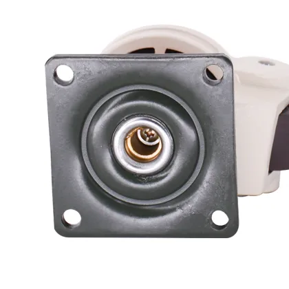 Adjustable Footmaster Nylon Caster