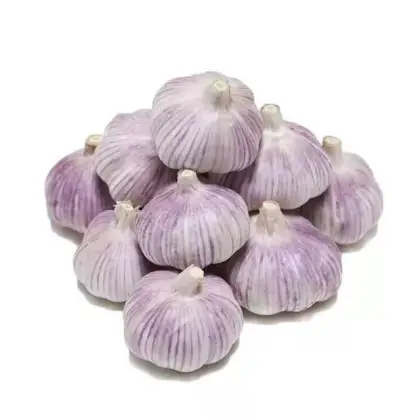 JINING YUANHENG FRESH GARLIC