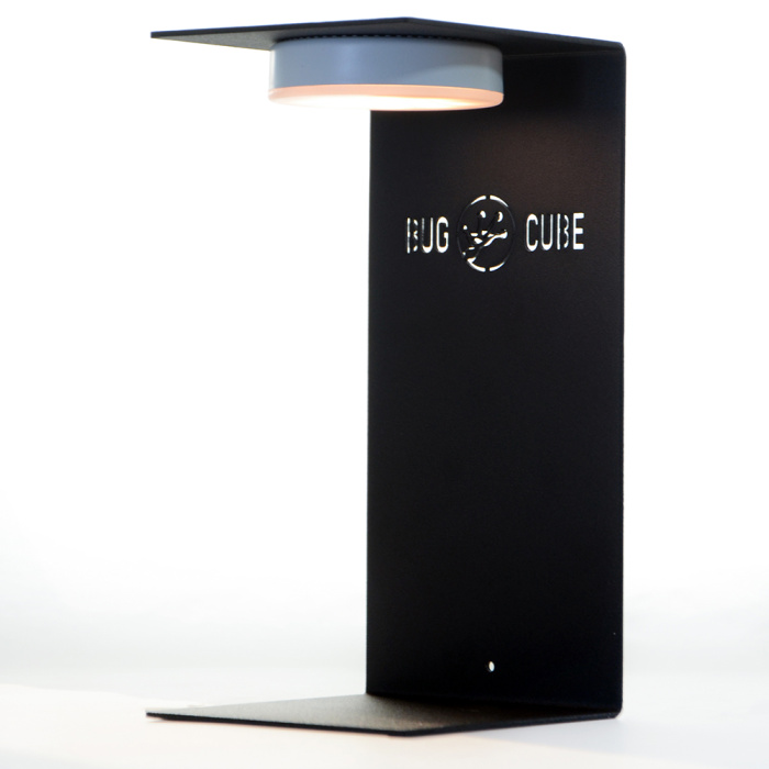 Caixa de criação de acrílico de alta transmissão de tamanho personalizável