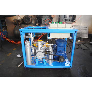 Natural Gas Compressors: CNG, Home Use, and Station Solutions (BX6CNG3)