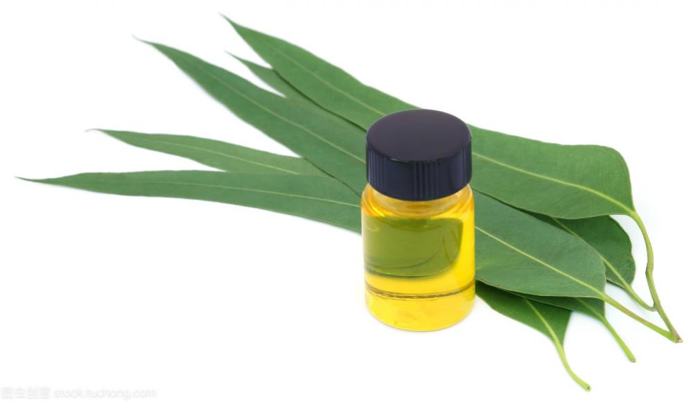 Bulk Lemon eucalyptol essential oil factory price