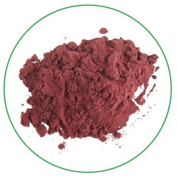 Best water slouble pure natural organic bilberry powder