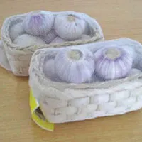 Single clove garlic
