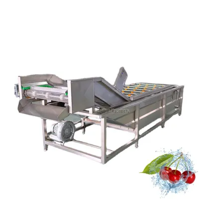Fruit and Vegetable Cleaning Machine
