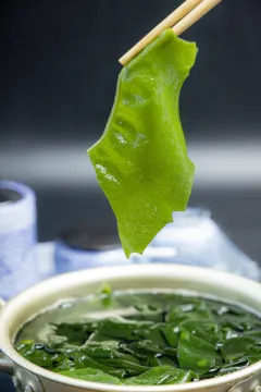 Delicious Seafood Stem Dried Seaweed Wakame
