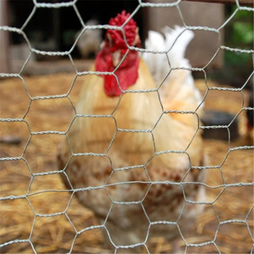 hexagonal wire chicken cage for sale