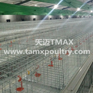 Pre-fabricated Metal Structure House