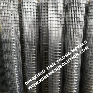 Welded Wire Mesh for Animals Galvanized