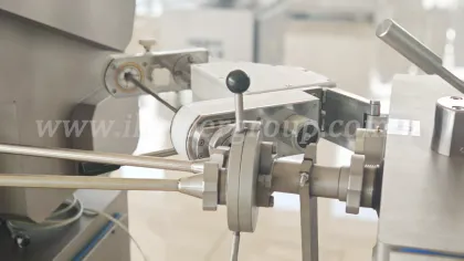 Co extruder Machine For Cheese Sausage