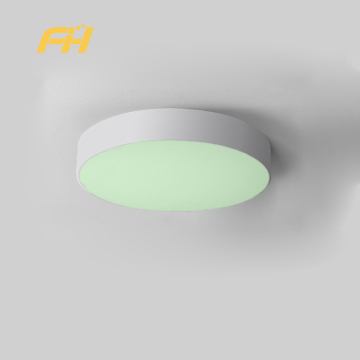 120W Acrylic Iron Slim Flush Mount LED Ceiling Light