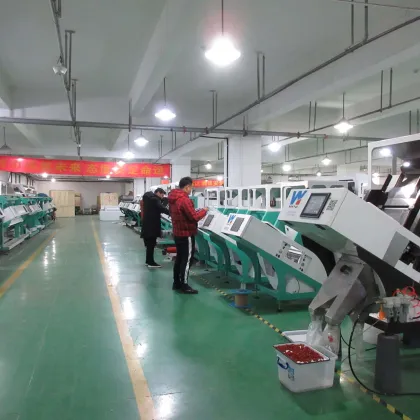 Wenyao Efficient Plastics Color Sorters for Plastic Recycling Machinery