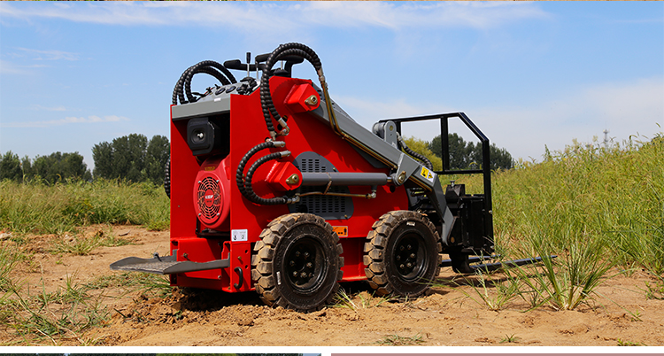 Skid Steer Details 03