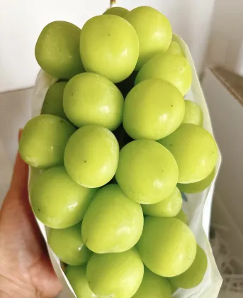 Delicious Shine Muscat Grapes Natural Taste