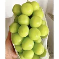 Natural Fresh Grapes Shine Muscat Flavor