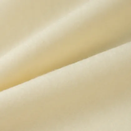 100% Aramid Fabric Fireproof Fabric Begoodtex