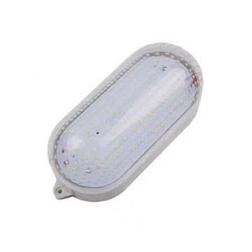Hot Sale LED Lights: 10W, 15W, and 20W Vegetables Storage Room Lamps for Cold Rooms