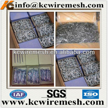 Wooden case iron nails/common nails in bulk in China.