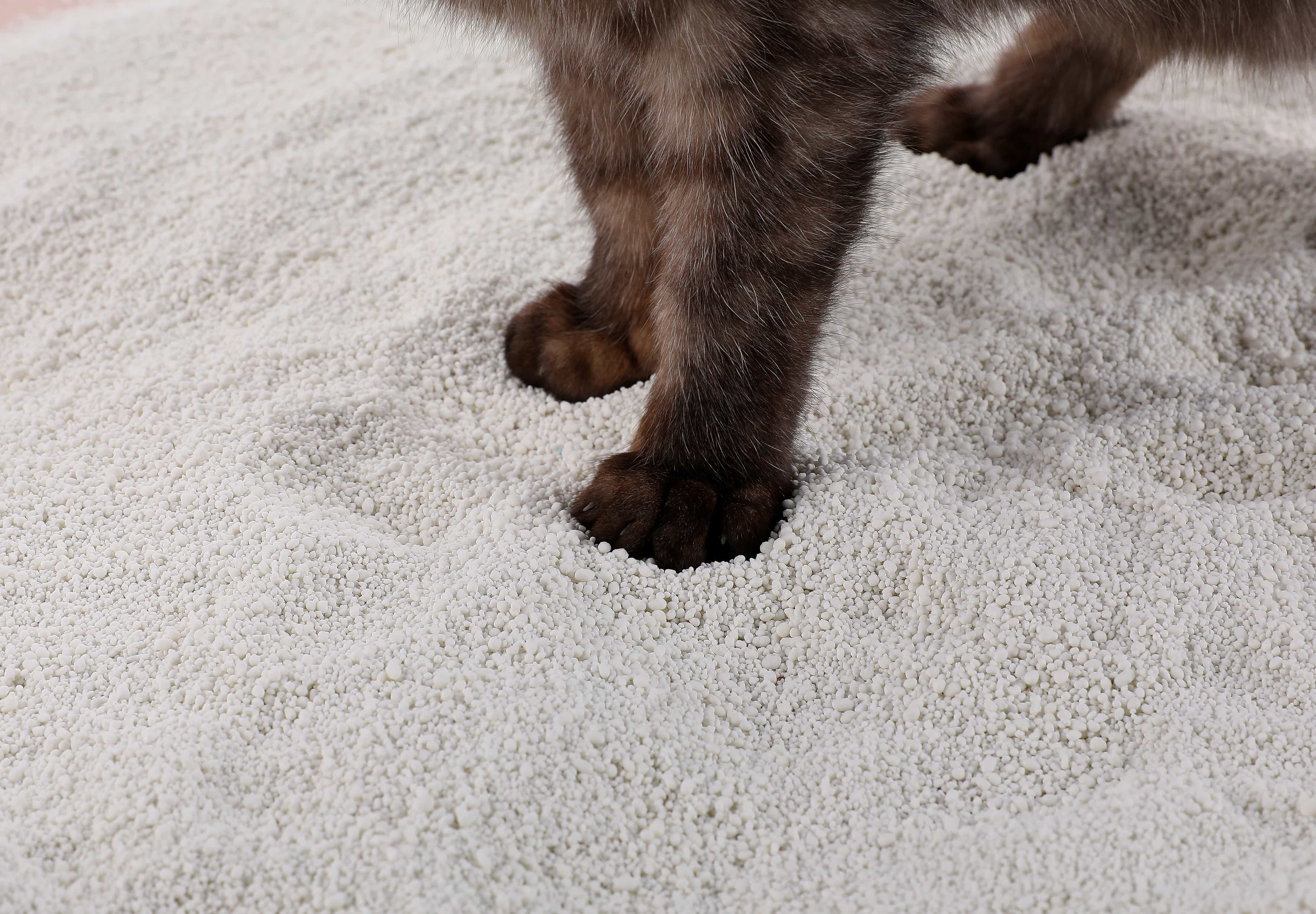 Vicen Cat Litter Made from Sustainable Cassava