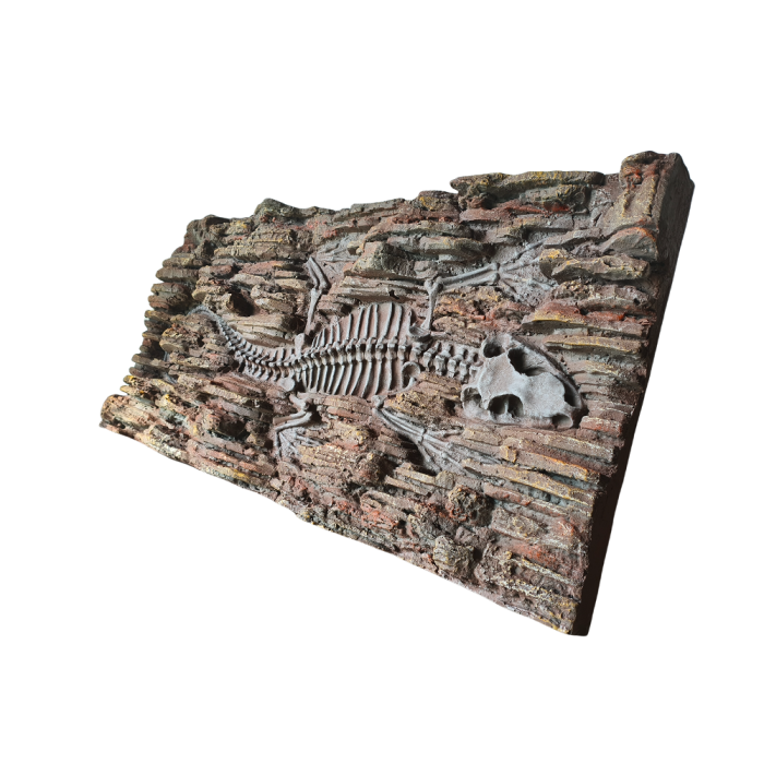 Decoração de rocha fóssil de dinossauros de grandes dimensões para gabinetes de répteis