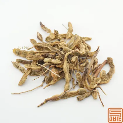 Natural Sophora Japonica Extract Genistein 98%