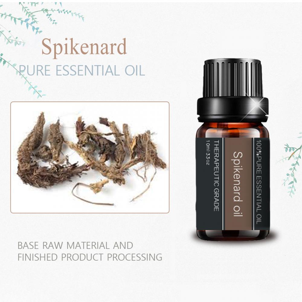 Pure Organic Spikenard Oil Essential Mejora la inmunidad del cuerpo