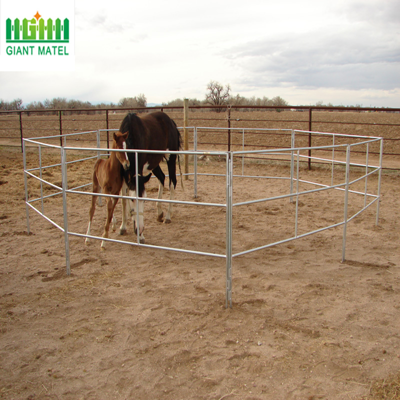 Easily Assembled  PVC Coated Horse Fence Panels