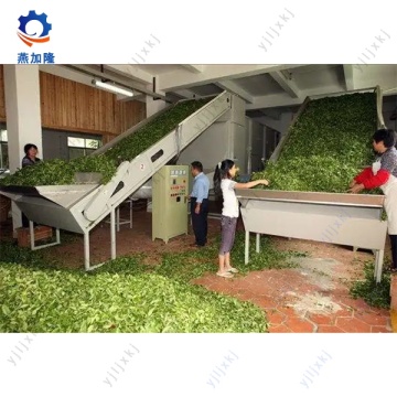 cherry chips mesh belt drying machine
