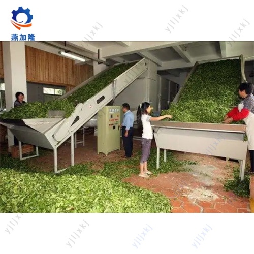cherry chips mesh belt drying machine