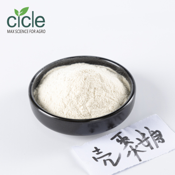 Natural Chitosan from Marine Chitin Sources