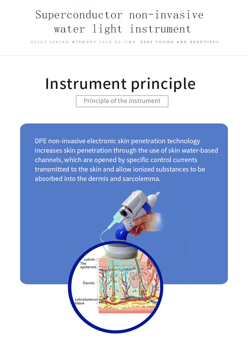 Professional electroporation device