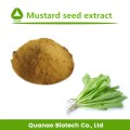 White Mustard Seed Extract Powder 10:1