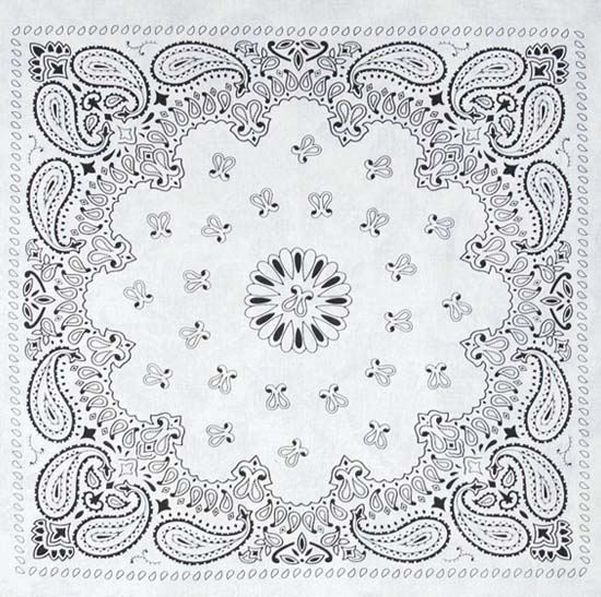 Custom Printed Cotton Paisley Bandana