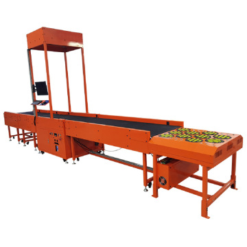 Parcel Dimensioning, Weighing, and Scanning Conveyor System for Warehouse Sorting
