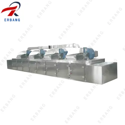 Efficient Belt Dryer for Longan Drying