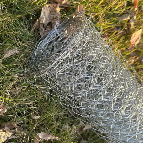 Hexagonal Wire Mesh 1'' Galvanized Mesh Suppliers for Bird Cages