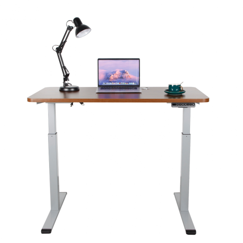 Modern Adjustable Height Electric Standing Desk